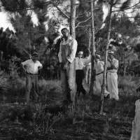 Stacy Lynching
